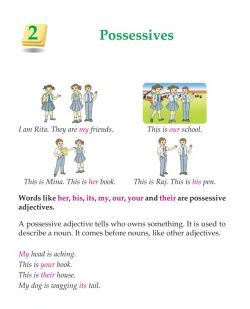3rd Grade Grammar Possessives.jpg